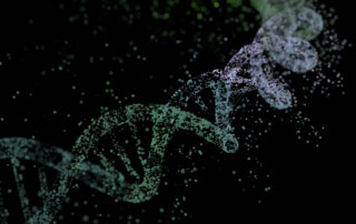 Unraveling genome